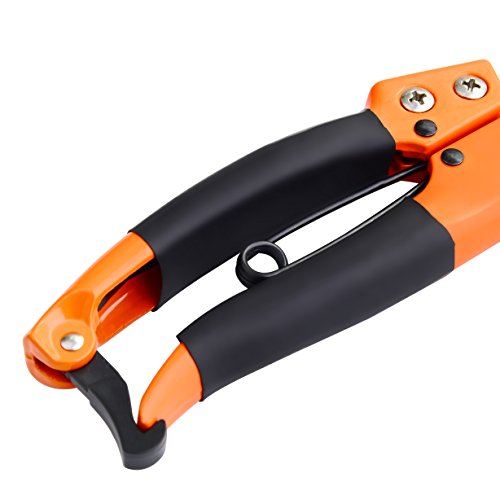 GANCHUN Pruning Shears Stainless Steel Garden Pruner 8" Bypass Garden Shears for Bonsai,Branch,Tree Trimmer,Flowers. - Thumbnail 2