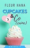 Cupcakes & Co(caïne) 3 : La fin de la chicklit de l'été ! (French Edition) by Fleur Hana