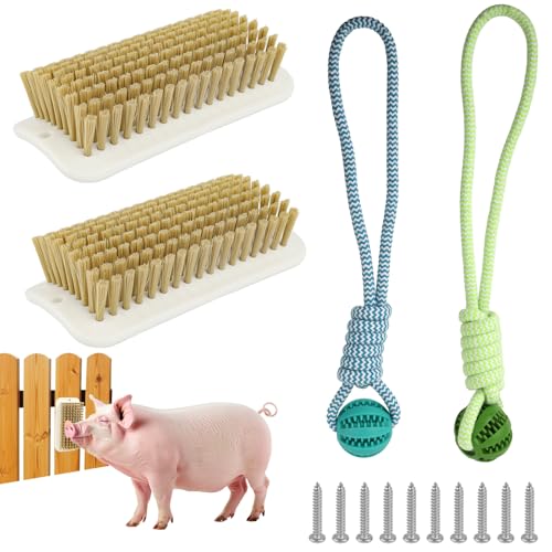 Baeruuss Pig Enrichment Toy Set