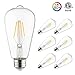 Otronics LED Antique Vintage Edison Bulb, ST64 LED Filament Bulb, 4W (40W Equivalent) 470 Lumen Not-dimmable E26 Base,Daylight 5000K, pack of 6