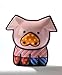 Miniature Pig 