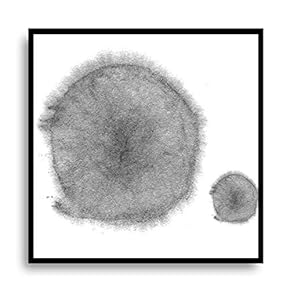 Framed Canvas Wall Art for Living Room,...