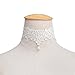 DZT1968 Women Pendant Necklace Choker Chains Charm Lace pearl women collar (White)