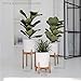 Sona Home Adjustable Mid Century Plant Stand, 3 Sizes, 3 Colors - Modern Plant Stand Indoor Outdoor, Planter Stand Only (Large, Bamboo)