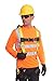 Kolossus 100% Polyester ANSI Class 2 Compliant High Visibility Long Sleeve Safety Shirt (Orange, Large)