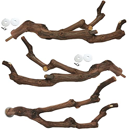 kathson 3-Piece Natural Grapevine Bird Perch