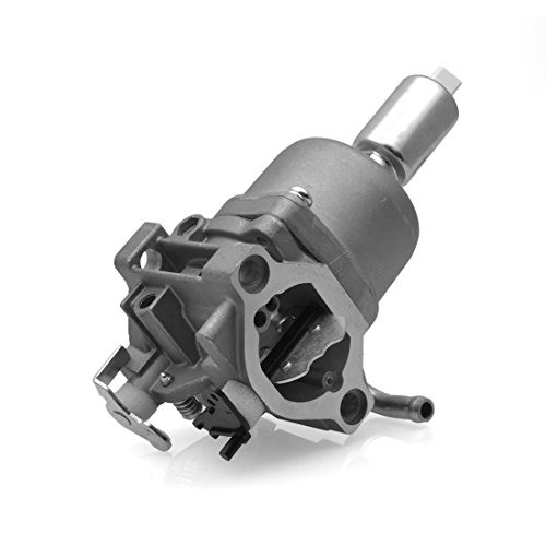 Radracing 591736 Carburetor Carb Kit Compatible 594599 794136 591736 796184 698787 699900 699521 792369 790032