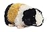 Guinea Pig Mini Flopsie 8