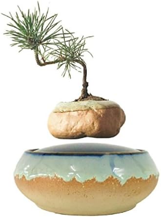 magnetic levitation potted plant floating air bonsai tree pot garden beautiful gifts for men