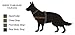 Cynology War Labs Hot Weather Half Vest K9 Harness (Black, Large) by US PALM