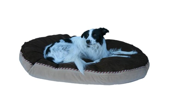 walmart neighborhood market dog food