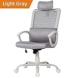 Ergonomic Office Chair Adjustable Headrest Mesh Office Chair Office Desk Chair Computer Task Chair (Light Gray)