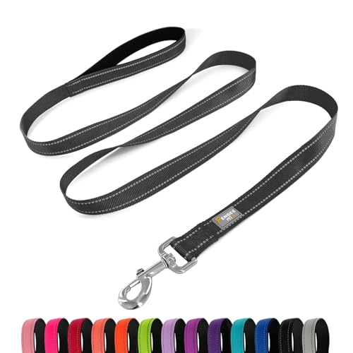PenSeepet Basic Dog Leash