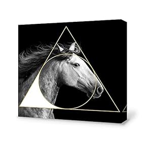 Canvas Wall Art-Black and White Horse-Canvas Prints Home Artwork Decoration for Living Room,Bedroom - 12x12 inches