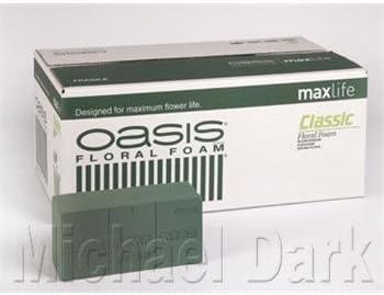 OASIS® Classic MaxLife ladrillo Espuma Floral (Caja de 20): Amazon.es: Hogar