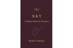 731 X&Y: A Wager Made In Fractions