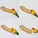 PINVNBY Bird Training Toy Wooden Parrot Mini Desktop Bowling Game Parakeet Intelligence Toy for Large and Small African Grey Macaws Cockatoos Eclectusthumb 2