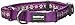 Red Dingo Martingale Daisy Chain 20mm Choke Collar, Medium/Large, Purple