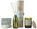 Paddywax Candles Eco Collection Aromatherapy Reed Oil Diffuser Set, Verbena & Lemongrass