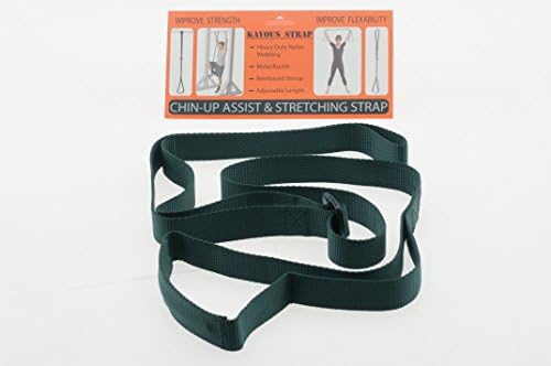 I WILL DO PULL-UPS, The Pull-Up / Chin-Up Assist Strap will "MAKE IT SO"