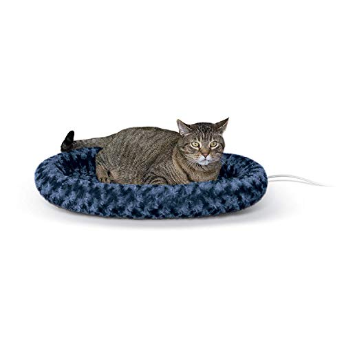 How To Recognize The Best Heated Cat Bed For Your Cat