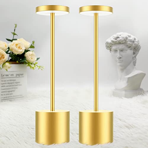 Hapfish Wireless Touch Bedside Lamp, 5000mAh 2PCS Rechargeable LED Table Lamp, Powerful USB Battery Desk Light, 3 Color Temperatures, for Bedside Office, Restaurant, Outdoor
