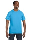 Hanes mens 6.1 oz. Tagless T-Shirt(5250)