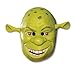 Shrek 34 Vinyl Mask Child Costume Mask,Green,One Size