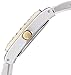 Anne Klein Women's 10-7977MPTT Premium Crystal Accented Two-Tone Watch