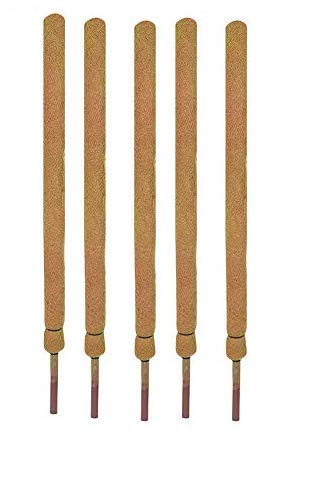 COIR GARDEN Coco Pole Coir Moss Stick for Climbing Money Plant, Indoor and Outdoor Plants, HOUSING Plants Support 3 ft/91 cm, Brown - Set of 6 Pieces
