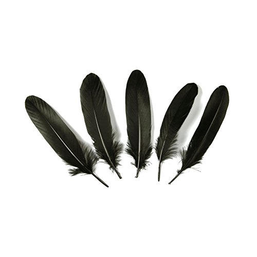Goose feather,hgshow 100pcs beautiful feathers 6-8 inch…