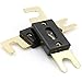 Baomain 2-Pack 60Amp ANL Fuse for Car Vehicles Audio System Sheet Gold Tone