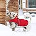 MIGOHI Reflective Waterproof Windproof Dog Coat - Warm Jacket Reversible Stormguard Winter Vest for Small to Large Dogs (Red, XL)