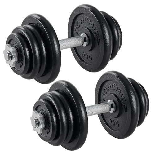 SONGMICS Hantelset aus Gusseisen, 2 x 25 kg, verstellbar
