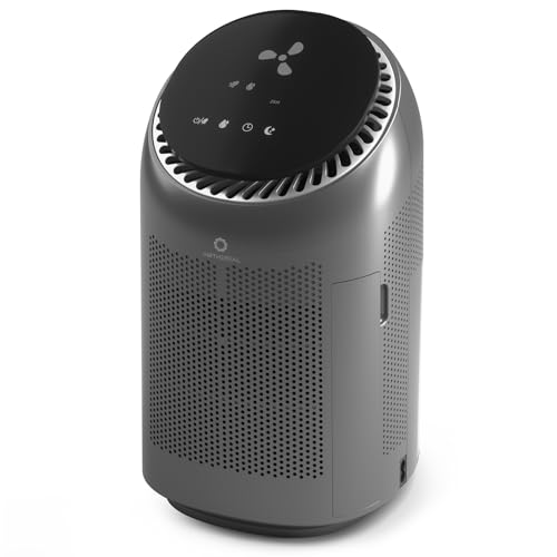 Airthereal Zephyr AZH200 Air Purifier Dehumidifier