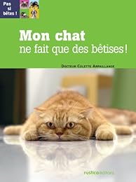 Mon chat ne fait que des bêtises