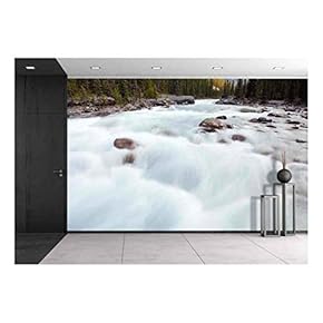 Mistaya Canyon, Banff National Park, Alberta, Canada - Removable Wall Mural | Self-Adhesive Large Wallpaper - 66x96 inches