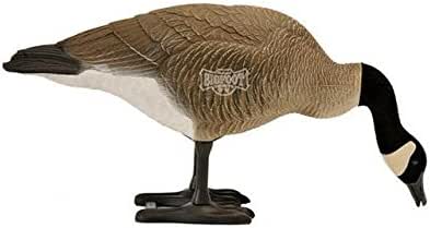 Amazon.com : Big Foot Full Body Goose Decoys - Feeders : Hunting Decoys