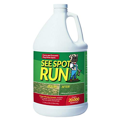 See Spot Run Lawn Protectant - Complete and Safe Natural Lawn Care for Pets. Cures and Prevents Dog Urine Spots (128 oz. / 1 Gallon Economy Refill)