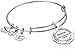 Alex and Ani Anchor II Expandable Rafaelian Silver Bangle Bracelet