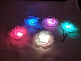 2-Pack Glowing LED Flower Clips - Light up Rainbow, Stocking Stuffer, LED Hair, NYE Accessories, Concert, Festival, Fairy Lights, Glow Party, Prom, Blacklight 5k, Nightlife