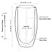 Double Wall Glasses 10oz Set of 2 - Double Walled Glass - Double Walled Glass Coffee tea - Double Wall Insulated Glasses - Double Walled Glass Coffee - Double Walled Glasses 300ml - Coffee or Tea Glas