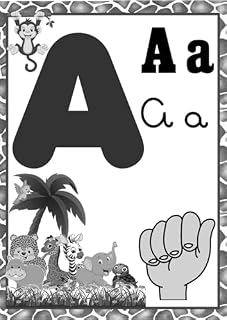 Livro Alfabeto em Libras: Pintura