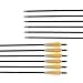 Crossbow Bolts Hunting Carbon Hunting Carbon Archery Arrow 18 Inch with Replaceable Arrow Tips 4 Inch Plastic Vanes(CT009,12PCS)