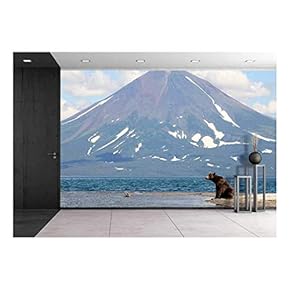 Bear and a Volcano - Removable Wall Mural | Self-Adhesive Large Wallpaper - 66x96 inches