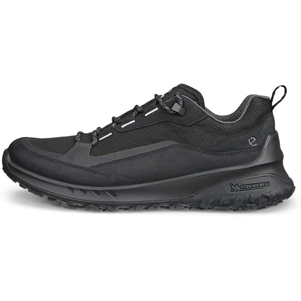 Lowa Toro Pro GTX Lo Hiking Shoe - Men's - Footwear
