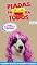 Livro Piadas Para Todos Ed. 108 - De Cara Nova! (EdiCase Digital)