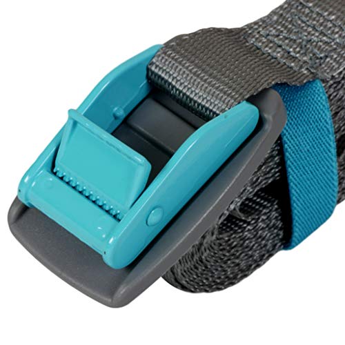 Earth River SUP Roof Rack Tie Down Cam Straps for Paddle Boards, Kayaks, Surfboards and Canoes