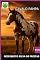 Livro Cavalo Pampa