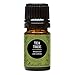 Edens Garden Tea Tree 5 ml 100% Pure Undiluted Therapeutic Grade Essential Oil GC/MS Tested